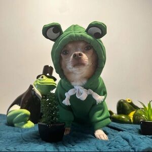 RE-POSHING🐸 HOST PICK!🐸NWOT🐸FROG HOODIE COSTUME SIZE MEDIUM 100% POLYESTER🐸